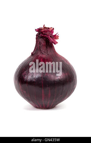Red onion isolated on white background with clipping path Stock Photo