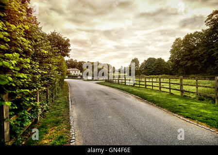 Beautiful English countryside. Stunning landscape over English countryside landscape in Summer sunrise. English country lane at Stock Photo