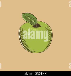 Apple in vintage style. Colored vector illustration Stock Vector