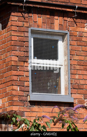 protective metal screen over window Stock Photo