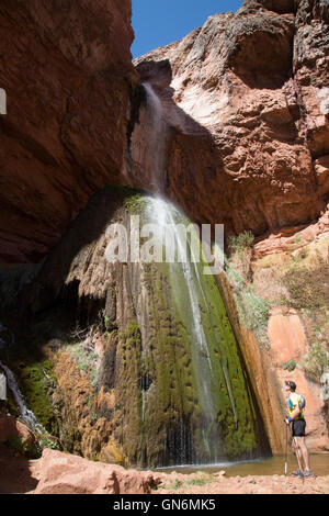 A hiker pauses to gaze at Ribbon Falls (Formerly called Altar Falls), a waterfall located off the North Kaibab Trail in the Grand Canyon. Stock Photo