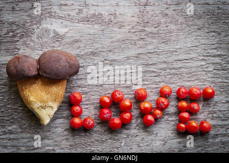 Valentine card concept. Two pine bolete (Boletus pinophilus) mushrooms grown together, with love inscription. Still life photo. Stock Photo