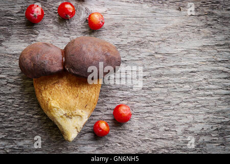 Top view of two pine bolete (Boletus pinophilus) mushrooms grown together, on wooden background. Still life photo. Stock Photo