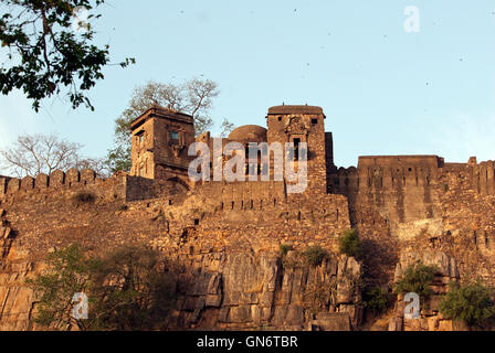 The image of  Ranthambore fort in national park, Rajasthan, India Stock Photo