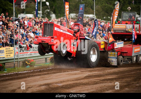Super Stock tractor puller goes out of bounds during a pull Stock Photo
