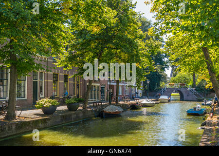 Baangracht canal with trees and boats in Alkmaar, North Holland, Netherlands Stock Photo