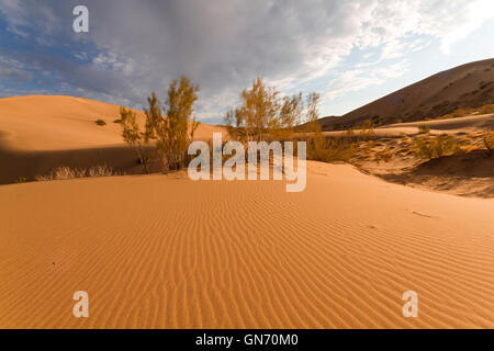 Altyn Emel National Park in Kazakhstan Stock Photo