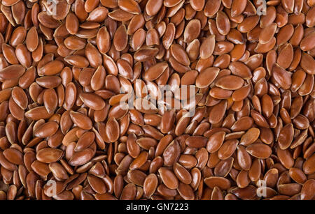 Flax seeds (Linum usitatissimum) background Stock Photo