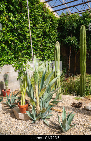 Living Desert Zoo Gardens State Park Stock Photo