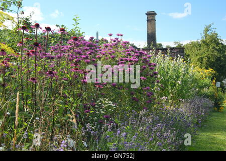 A herbaceous border in full bloom at Wortley Hall Walled Garden day during an open day event, Sheffield, Yorkshire UK - August Stock Photo