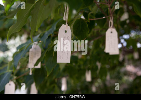 Tags with messages on Yoko Ono wish tree - USA Stock Photo