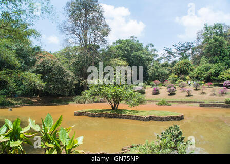 Royal Botanical Garden - The Lake, Kandy, Sri Lanka Stock Photo