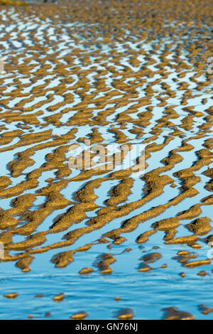 Unique natural patterns, art created with gleaming azure blue water and rills of golden sand at beach Stock Photo