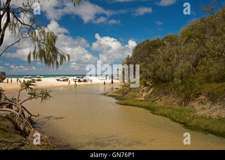 Group of four wheel drive vehicles & people on sandy beach beside Eli Creek with others wading in shallow water on Fraser Island Stock Photo