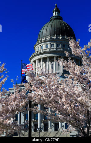 Vertical view of the Utah State Capitol Building in Salt Lake City, Utah with Yoshino Cherry Trees in blossom. Stock Photo