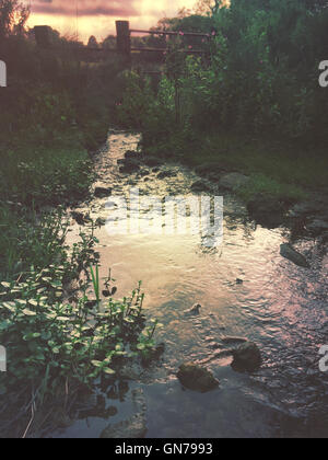 Stream and farm gate. Stock Photo