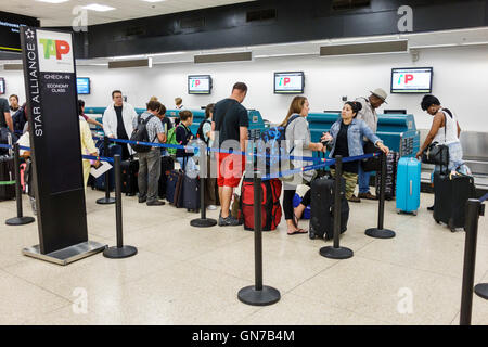 Miami Florida International Airport MIA,aviation,terminal,TAP Portugal Airline Company,Portuguese carrier,ticket counter,agent,job,Black adult,adults, Stock Photo