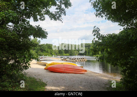 Turkey Swamp Park, Freehold, New Jersey, United States, North America Stock Photo