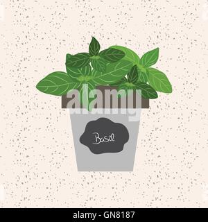 Vector - Fresh basil herb in a flowerpot. Aromatic leaves Stock Vector