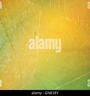 Texture of a leaf as background. Vector background with abstract Stock Vector