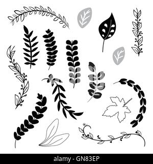A collection of hand drawn delicate decorative vintage leaves Stock Vector