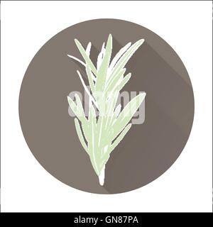 Vector fresh rosemary herbs. Aromatic leaves used to season meat Stock Vector