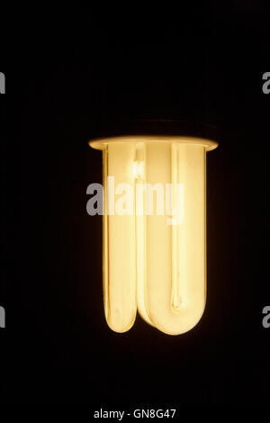 cfl compact fluorescent energy saving lightbulb Stock Photo