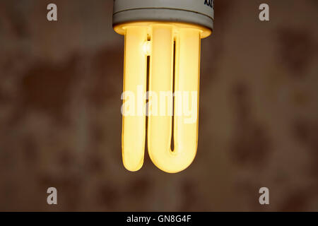 cfl compact fluorescent energy saving lightbulb Stock Photo
