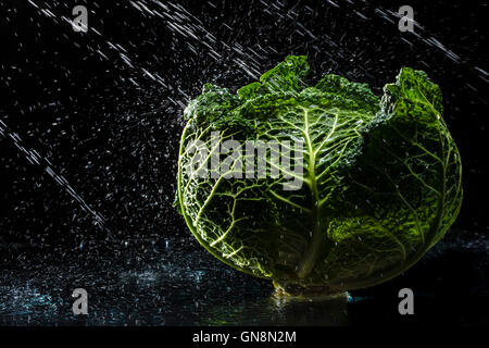 Savoy cabbage in a spray against a black background. Close-up. A series of fruits and vegetables in motion. Stock Photo