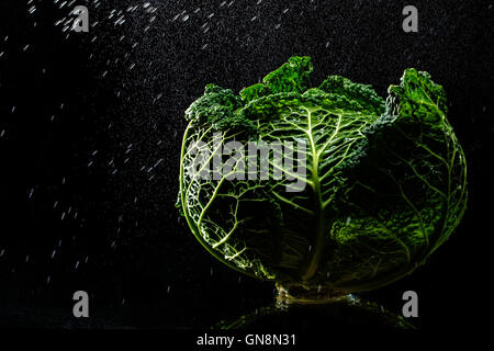 Savoy cabbage in a spray against a black background. Close-up. A series of fruits and vegetables in motion. Stock Photo