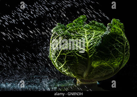 Savoy cabbage in a spray against a black background. Close-up. A series of fruits and vegetables in motion. Stock Photo