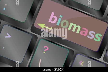 Keyboard keys with biomass word button vector keyboard key. keyboard button. Vector illustration Stock Vector