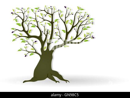 Olive Tree Stock Vector
