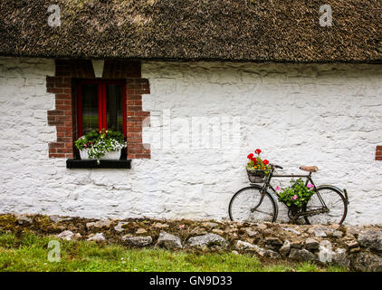 Old bicycle with a basket of flowers against a white stone house, Boyne Valley, Ireland, Europe, decorated bike basket flowers window garden flower Stock Photo