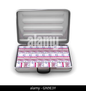 Open Silver Grey Briefcase with Euro Notes Stock Photo