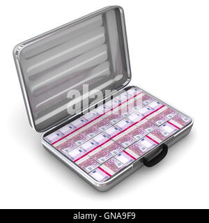 Open Silver Grey Briefcase with Euro Notes Stock Photo