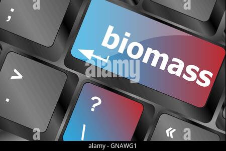 Keyboard keys with biomass word button vector, keyboard keys, keyboard button Stock Vector