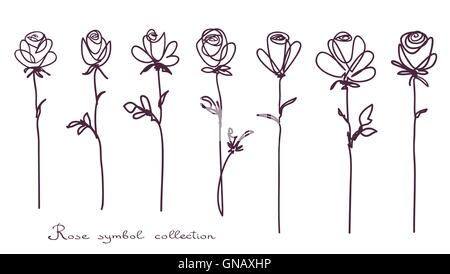 Roses. Collection of isolated rose flower sketch on white background. The continuous line doodled design. Stock Vector