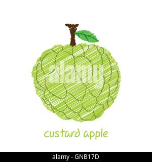 custard apple, sketch design vector Stock Vector