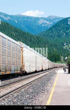 A long American freight train passes through the small station of West Glacier in Montana. Stock Photo