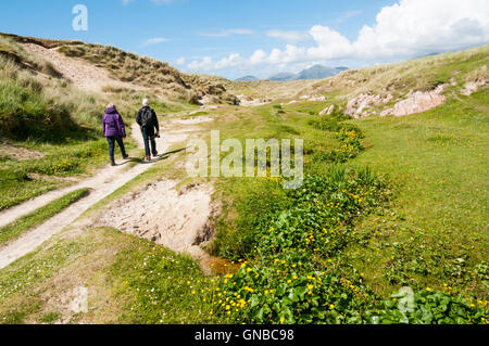 People following the path through the dunes to Luskentyre beach on the Isle of Harris. Stock Photo