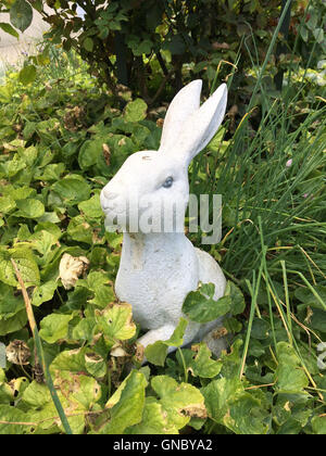 It's a photo of a White Rabbit in a Garden Stock Photo