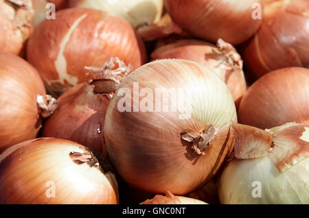 fresh brown spanish onions on display on a greengrocers food stall in the uk Stock Photo