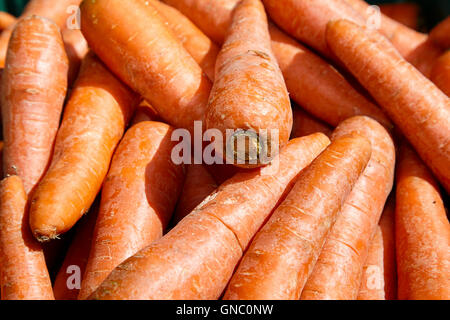 fresh carrots on display on a greengrocers food stall in the uk Stock Photo