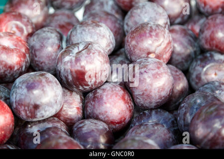 fresh plums on display on a greengrocers food stall in the uk Stock Photo