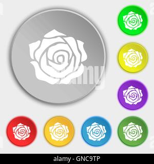 Flower With Eight Petals Icon Vector Sign And Symbol Isolated On White  Background Flower With Eight Petals Logo Concept Stock Illustration -  Download Image Now - iStock