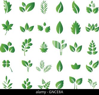 Set of green leaves design elements for you design Stock Vector