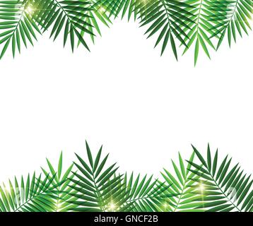 Leaves of palm tree on white background Stock Vector