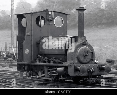 'Holy War' narrow guage railway engine and carriages at Llanuwchllyn ...