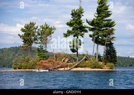 boy paddling kayak in lake with island, North America, Canada, Ontario, Algonquin Provincial Park Stock Photo